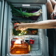 Illustration for article titled This Off-Road Fridge And Battery Make Your SUV A Home